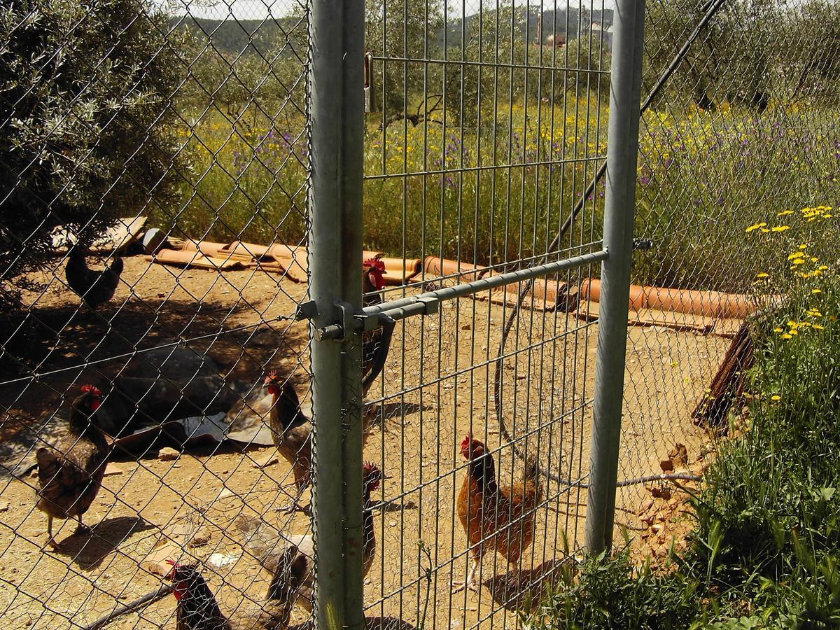 Hotel Rural La Cimbarra Aldeaquemada Eksteriør billede